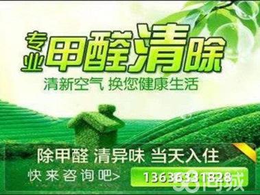 母嬰甲醛治理服務(wù)工裝家裝除甲醛工廠,空氣凈化提供甲醛檢測、汽車除醛、甲醛治理/除甲醛服務(wù)